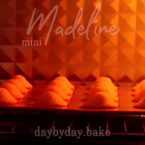 Mini Madeleine มาเดอลีน มินิ ขนมไข่ฝรั่งเศส หอมเลม่อน ชุ่มเนย ขายเป็นคู่