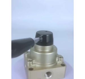 Van gạt tay khí nénvan điều hướngvan khí nén cơ họcvan khí nén minivan gạt hv miền bắcvan khí nén hv miền namvan gạt tay dùng cho xưởng khí nénvan 5/2 hv-02 van 5/2 hv-03 van 5/2 hv-04 van gạt tay ren 3/8 van gạt tay ren 1/4