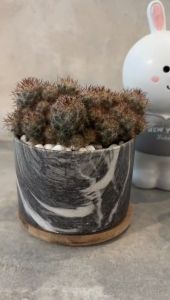 Matte Marble 7 Design Ceramic Flower Pot Round Desktop Potted Fleshy Flower with Saucer Vase Plant Pasu Bunga Seramik 花盆