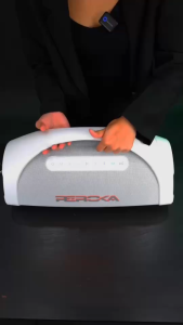 EasyandPerfect REROKA PREDATOR ลำโพงบลูทูธ รับประกัน 1 ปี