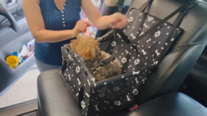 Puppy Car Seat Sturdy Reinforced Structure with Inner Frame and Velcro Shortened Safety Leash with Rotary Snap Hook Washable Portable Pet Booster Seat for Small Dogs and Cats Up to 14kg