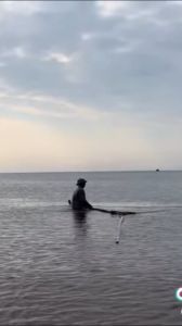 Cá Mối Khô Size Đại (8-10 Con/Kg) TopFreshi - Ngon Chất Lượng  Đảm Bảo An Toàn Vệ Sinh Thực Phẩm