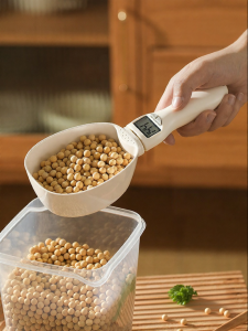 CAROTE | Kitchen Measuring Spoon