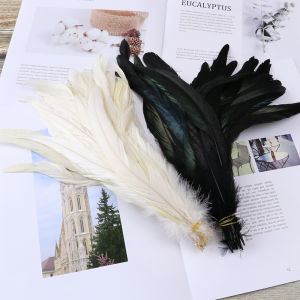 20Pcs Wholesale Rooster Feathers 25-30cm Natural Plumes for Xmas Party Costume Headdress DIY Craft Jewelry Home Art Decor