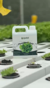 Phosphoric Acid 1L / 1000ml – Food Grade pH Down Solution for Hydroponics Nutrient Water Aquaponics & Gardening