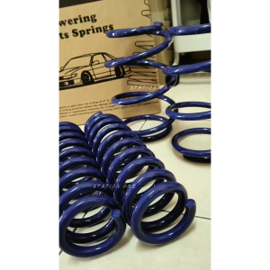Volkswagen Polo MK4/MK5 / Vento Lowered Sport Coil Spring (Blue)