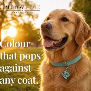 MeowTime Personalised - Colourful Printed Pet Name Tag for Dogs