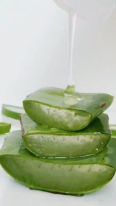 WARDAH NATURE DAILY ALOE HYDRAMILD MULTIFUNCTION GEL 100 ML