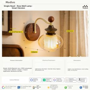 FANCY LAMP CLUB | Vintage French Luxe Atmosphere Chandelier