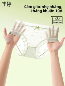 FENGTING | Quần Lót Thun Không Seam Thông Hơi Cotton Chống Khuẩn Đẹp