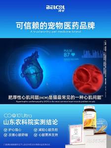 BELCOL | Pet Coenzyme Q10 Heart Protection Supplement