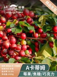 Gaosheng Manor a Catim Kim Coffee Green Beans Washed Italian Style Yunnan Arabica Coffee Beans 1000g for Espresso Machine
