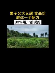 💗🙋‍♀️💗甜蜜蜜增甜剂靓果膨大增甜着色防裂除锈去酸涩果蔬通用叶面肥