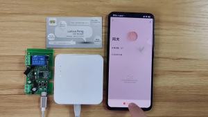 Zigbee Thông Minh Module Relay Công Tắc 1CH Không Dây RF433 Ứng Dụng Điều Khiển Từ Xa Tương Thích Với Tuya/Smart-Life Alexa 12V 24V 220V 110V