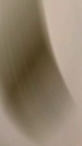 500 Grams 100% Pure Natural Serpentina Powder - for Antioxidant and Anti - Inflammatory
