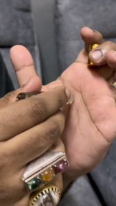 [ TOK SINGA ORIGINAL ] Minyak Kasturi Kijang 444