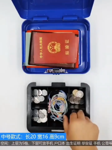 Jorxe Portable Cash Box With Key Password Lock Security Safe Box Small Locker Coin Bank Metal Money Organizer Cash Storage Dual Lock Home Office Personal Lock Box Money Safe Cash Safe Security Box Money Box Cash Organizer Portable Safe Box