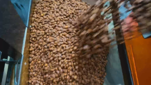 Indonesia Karo Strawberry Juice Coffee Beans - Freshly Roasted Co-Fermented Arabica by Bean Block