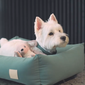 FuzzYard LIFE Premium 100% Cotton Dog Bed - Removable Cover | 5 Colors with 3 Sizes (S/M/L)