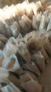 วัสดุปลูกต้นไม้ บอนไซ บอนสี บอนด่าง ต้นไม้สวยงาม หินลาวา หินภูเขาไฟ เพอร์ไลท์ เวอมิคูไลท์ อาคะดะมะ พีทมอส