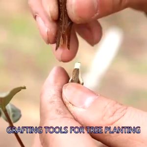 Secateur Pruning Plant Shears: A Comprehensive Guide