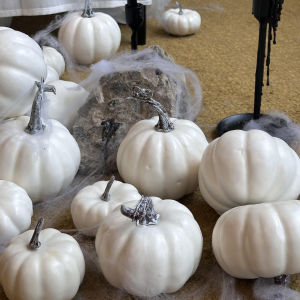 ตกแต่งน้ำมันสีเหลืองสำหรับงานปาร์ตี้ฮาโลวีน จุดประกายตกแต่งพื้น ตกแต่งภายในร้าน ตกแต่งบรรยากาศของบาร์ สไตล์การแต่งหน้า สไตล์การถ่ายภาพ