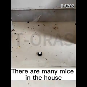 10PCS Rat Repellent Moth Balls Powerful Upgrade Recipe Rat Killer Poison Rat Repellent For Home Safe And Non-Toxic
