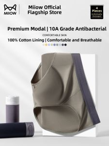 MiiOW | Mens Antibacterial Cotton Briefs