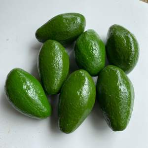 Replika buah alpukat 1pcs / Replika buah buahan / dummy sayuran / Mainan anak
