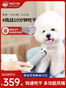 Laiwang Brothers Pet Water Dispenser Hair Blowing and Pulling All-in-One Machine Dog Hair Blowing Handy Gadget Cat Dryer Pull Hair Comb