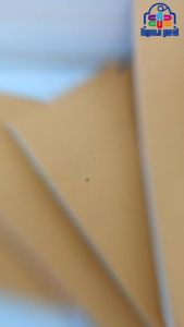 Nota Custom untuk Laundry, Bengkel, dan Lainnya