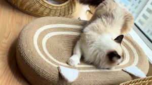 【Ready From SG】Sisal Cat Scratch Board Pure Linen Scratch Training Toys Board Nest Not Rotten Cat Scratching Board