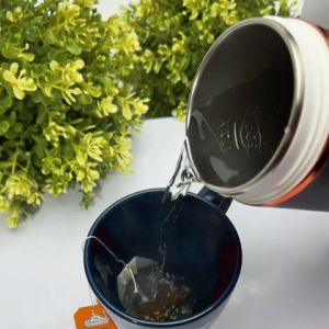 Samu Giken Bottle (Stainless Steel) | Botol (Keluli Tahan Karat) ModelPEK450WT/GY