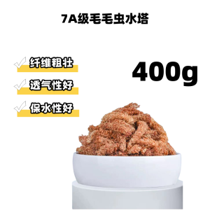 Winter Sleeping Box Set for Yellow-edged Turtle Reptile Pet Care Supplies Turtle Dormancy Kit Moss Bedding Small Turtle Box