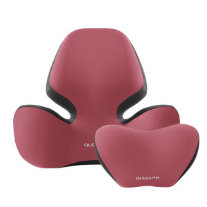 QUEES | Memory Foam Lumbar & Neck Support Set