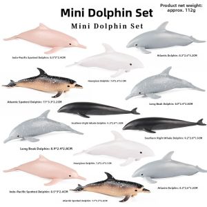 Simulated Marine Animal Mini Models