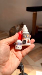 Obat Tetes Radang Telinga Kucing / Anabul Otitis Keluar Cairan dari Lubang Telinga