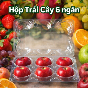 50 Hộp Trái Cây 6 Ngăn Nhựa PET Trong Suốt – Hộp Đựng Trái Cây Bánh Cao Cấp
