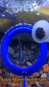 Aquarium Feeding Circle Strong Chuck Fish Tank Floating Food Tray Feeder Square Circle Accessory