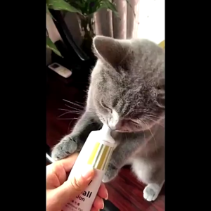 Pet Supplement Cat Gel Hairball Multivitamins Dogs Nutrition Cream Fish Oil Lecithin Skin Hair Care
