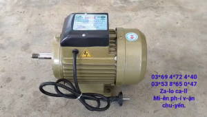 Động cơ điện mô tơ Toàn Phát 15hp điện 1 pha 2900 vòng phút