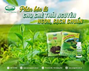 Phân bón lá cho cây chè - Phân Sông Gianh - Bật búp mạnh - Nhú đọt nhanh - Chống rét Chống sương hiệu quả - Chè đậm hương - thơm nước - tăng chất lượng chè - gói 50gr tiện lợi