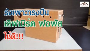 ฟอพัส รังเพาะนก มีลิ้นชัก กับ ฟอเพียง บริสุทธิ์ การทำงาน รังนก รังนอน กล่องไข่นก ลังนก ลังเพาะนก ลังไข่ ราคาพิเศษ