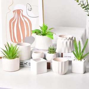 Chậu Hoa Gốm Sứ Xuyên Biên Giới Chậu Cây Hình Tròn Sứ Trắng Mô Phỏng Mặt Bàn Đơn Giản Hiện Đại Trang Trí Sáng Tạo Chậu Cây Xanh