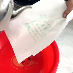 100PCs/set Fruit Protect Bag Garden Plant Waterproof Paper Bag Anti Insect Fly Bird Translucent Breathable Bag Tool