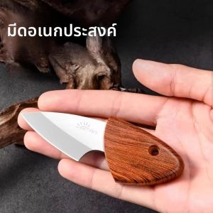 มีดผลไม้ขนาดเล็ก คม แข็งแรงสูง มีดพกอเนกประสงค์ สำหรับแกะกล่อง ตัดเนื้อ