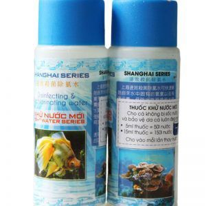 khử nước mới khử clo cho hồ cá cảnh Shanghai