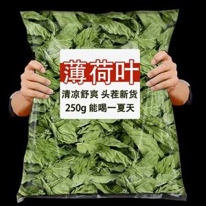 Fresh Edible Mint Leaves 500g