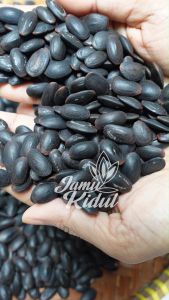 Biji Kedawung 250 gr - Dawung - Kedaung Murah