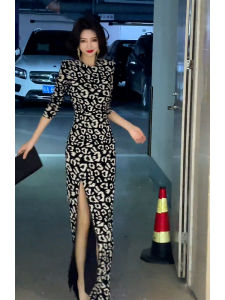 Fall Winter Elegant Slimming Printed Dress High Waist A-Line Skirt Long Sleeve Business Casual City Commute Party Dress